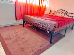 Blk 110 Mcnair Spring (Kallang/Whampoa), HDB Executive #458472771